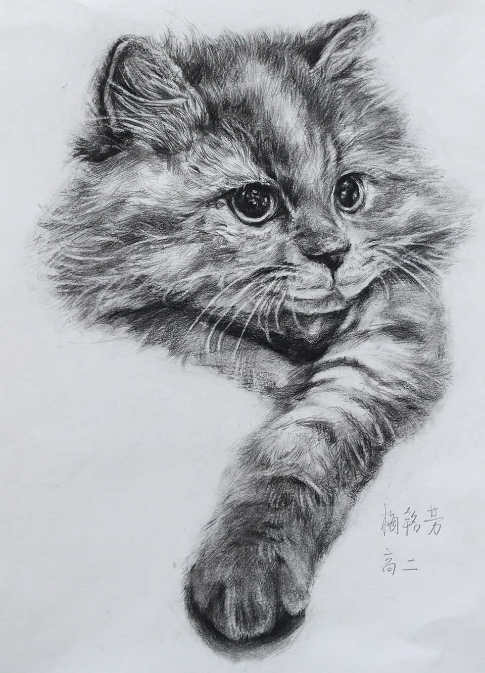 189A6787_看图王.jpg