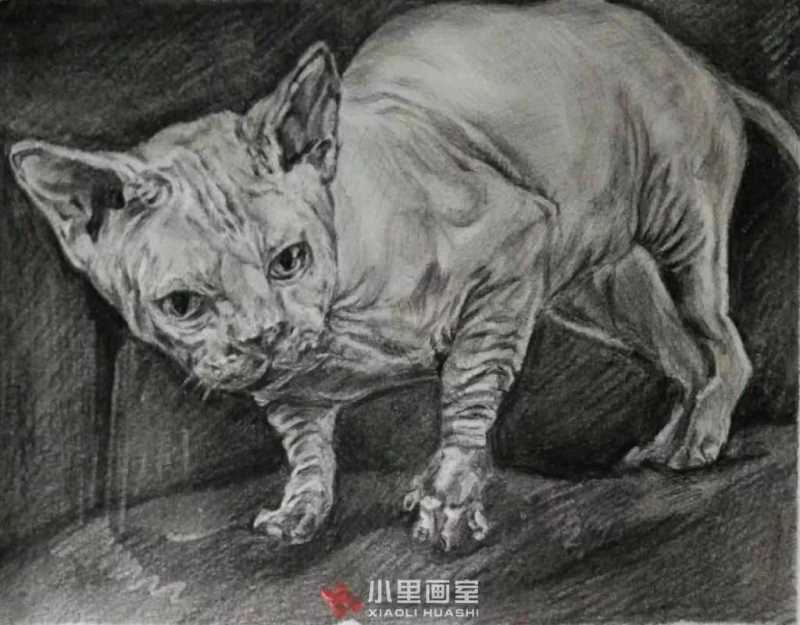 小里画室0148.jpg