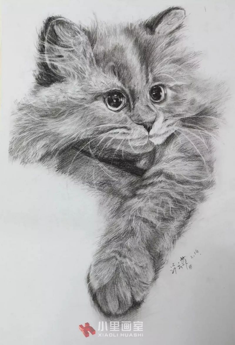 小里画室锦鲤计划0161.jpg 小里画室锦鲤计划0161.jpg