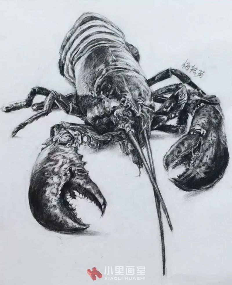 小里画室锦鲤计划0162.jpg 小里画室锦鲤计划0162.jpg