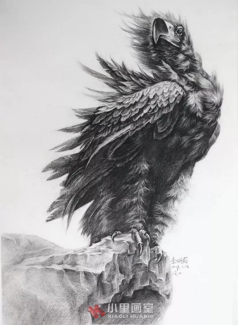 小里画室锦鲤计划0163.jpg 小里画室锦鲤计划0163.jpg