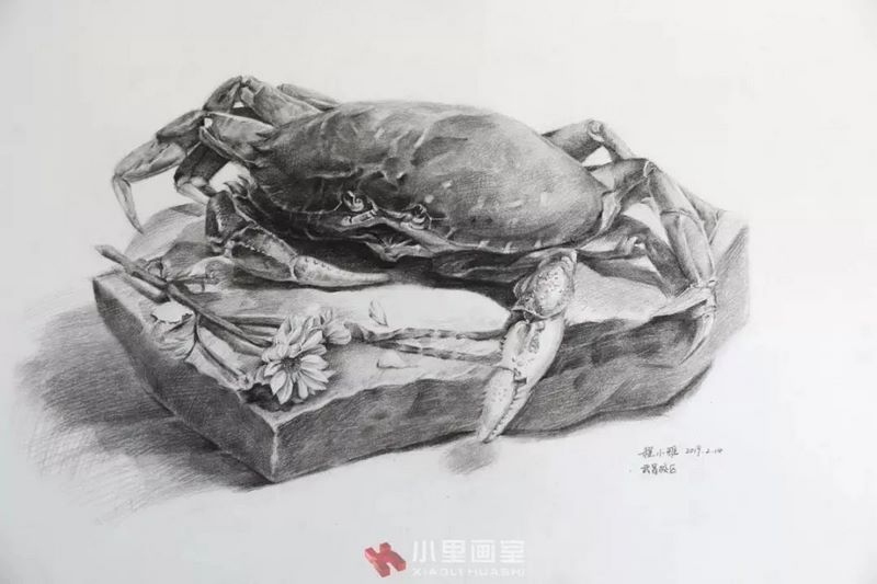 小里画室锦鲤计划0164.jpg 小里画室锦鲤计划0164.jpg