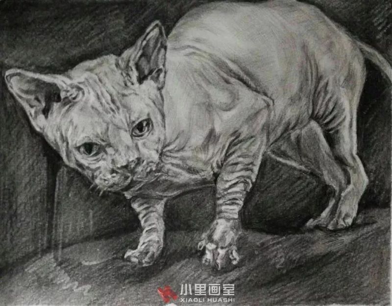 小里画室锦鲤计划0165.jpg 小里画室锦鲤计划0165.jpg
