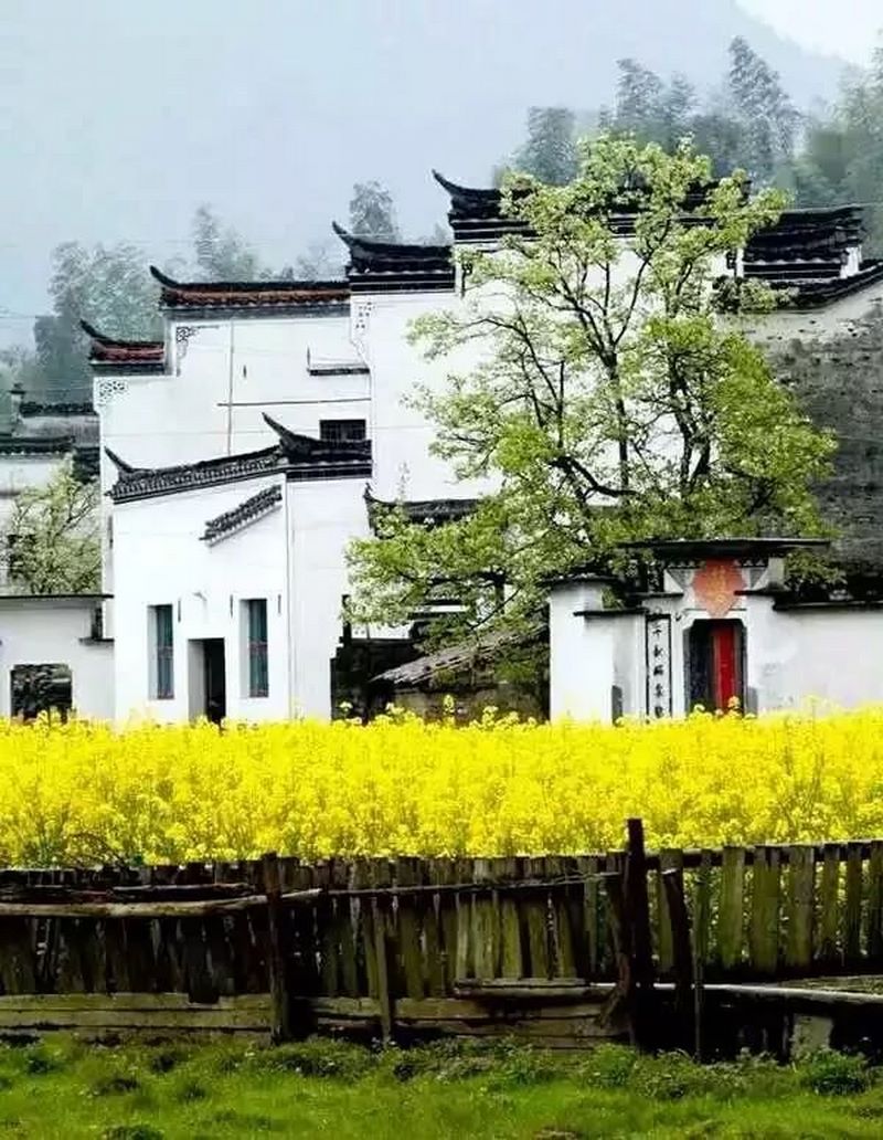 武汉小里画室下乡写生最全色彩风景的构图技巧0055 (复制).jpg
