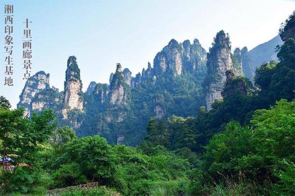 湘西印象张家界写生基地15.jpg