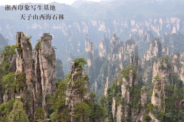 湘西印象张家界写生基地17.jpg