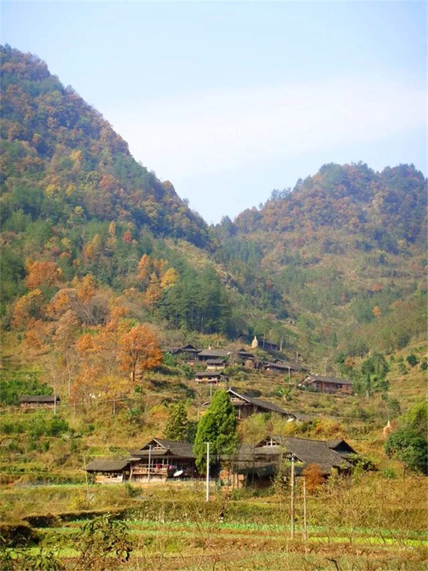 1-1ZH3211445159.jpg