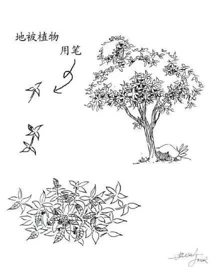 美术大师速写风景0011.jpg 美术大师速写风景0011.jpg