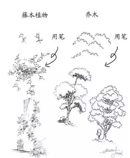 美术大师速写风景0013.jpg 美术大师速写风景0013.jpg