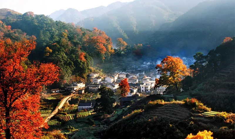 婺源美术写生风景 (5).png