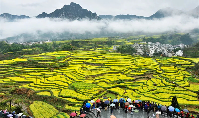 婺源美术写生风景 (2).png