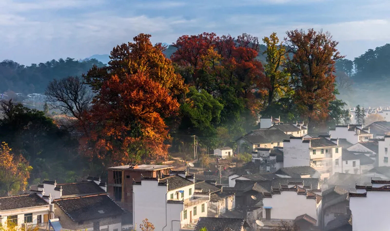 婺源美术写生风景 (7).png