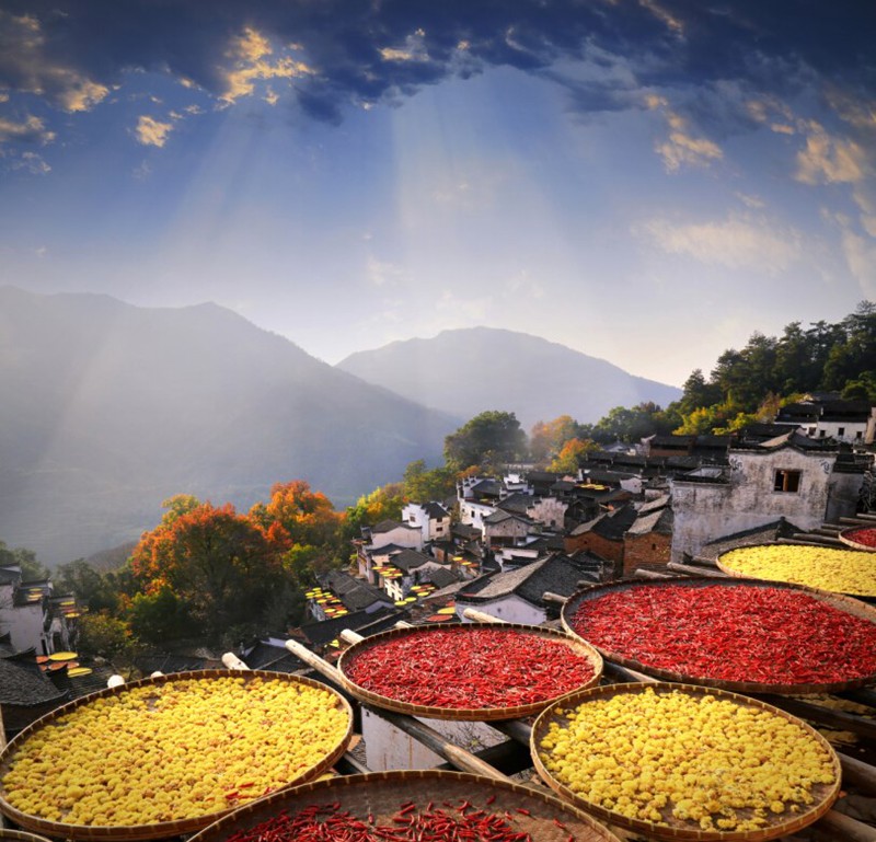 婺源美术写生风景 (11).jpg