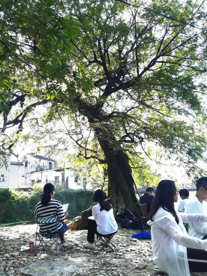 美术写生 (2).jpg