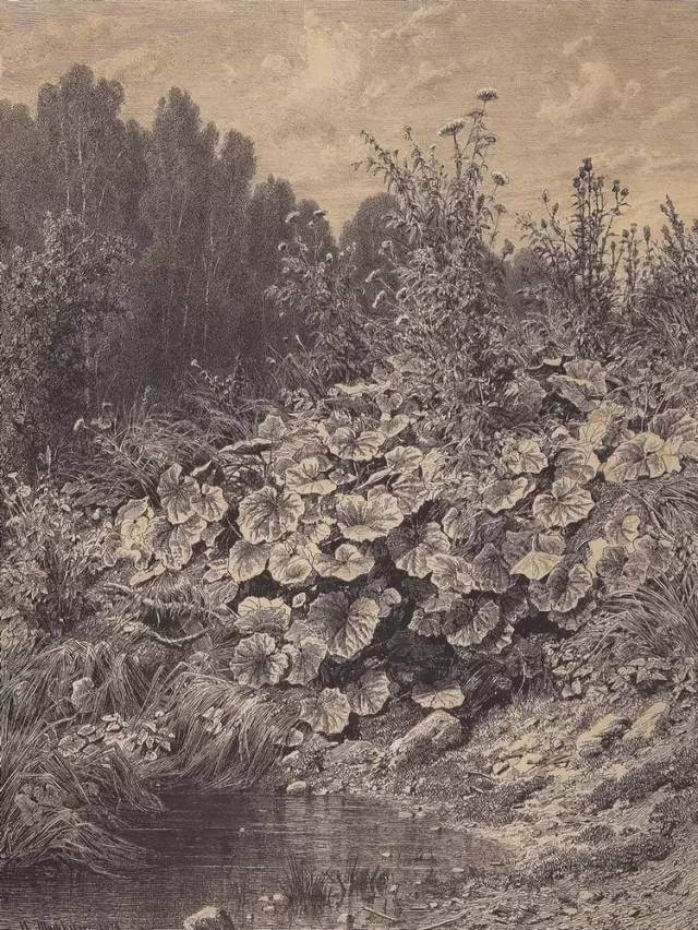 素描风景作品44.jpg