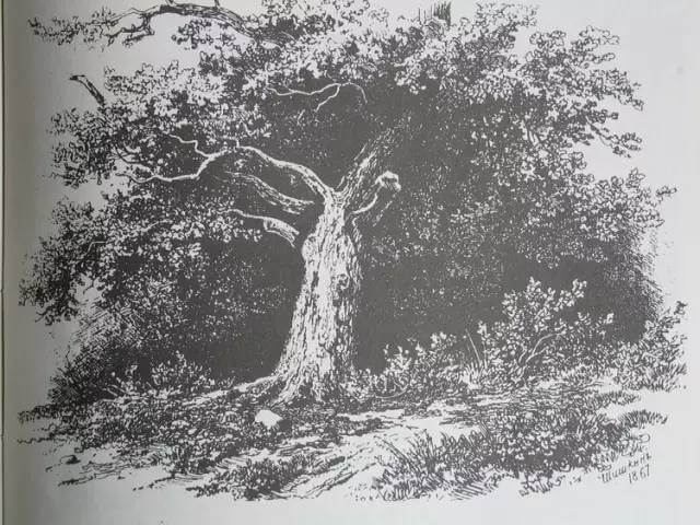 素描风景作品55.jpg