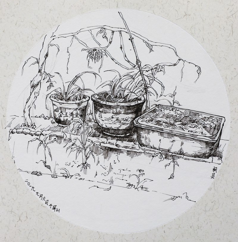 小里速写作品25.JPG