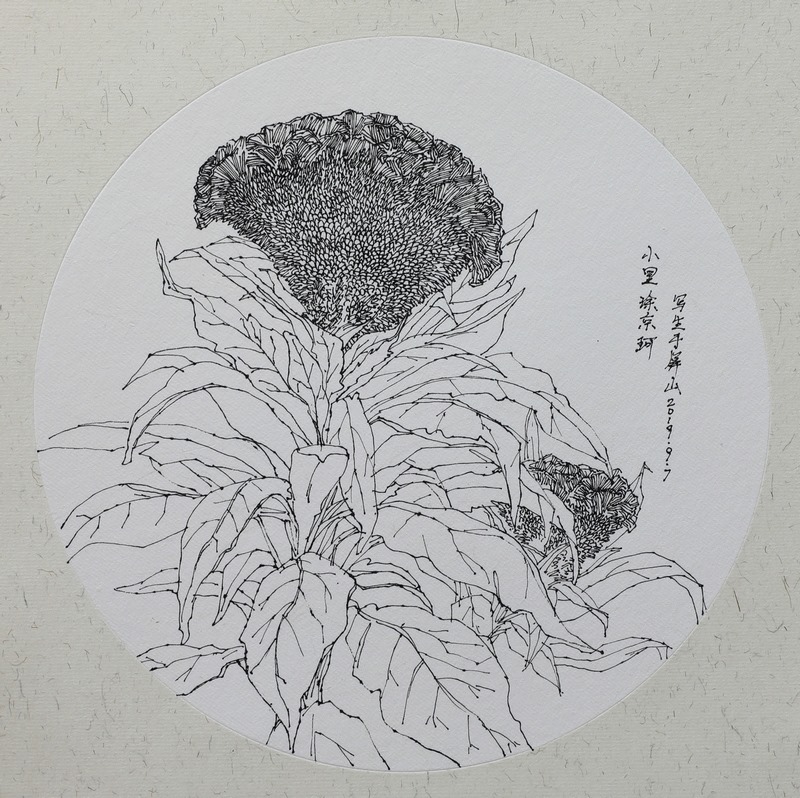 小里速写作品28.JPG