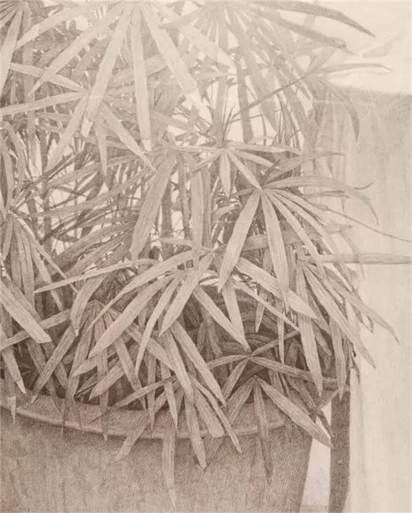 09四川美术学院素描大展 (17).jpg 09四川美术学院素描大展 (17).jpg