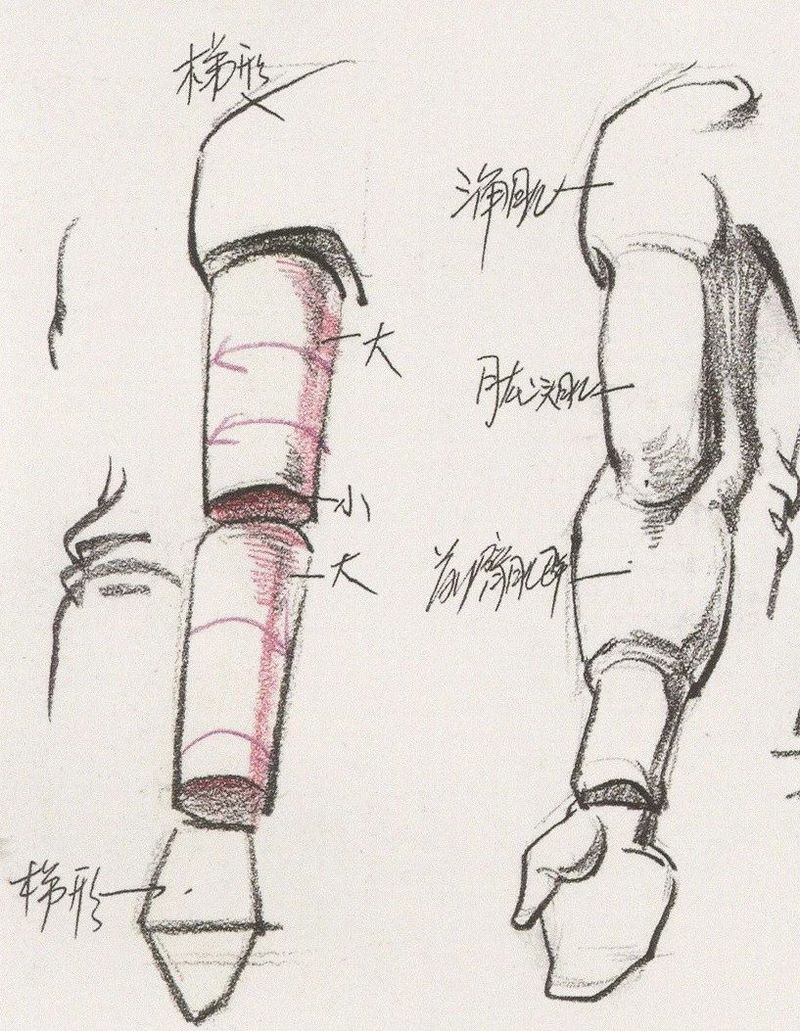 速写干货0012.jpg