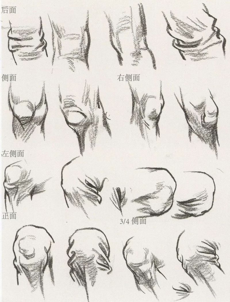 速写干货0025.jpg