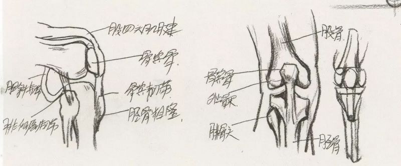 速写干货0027.jpg