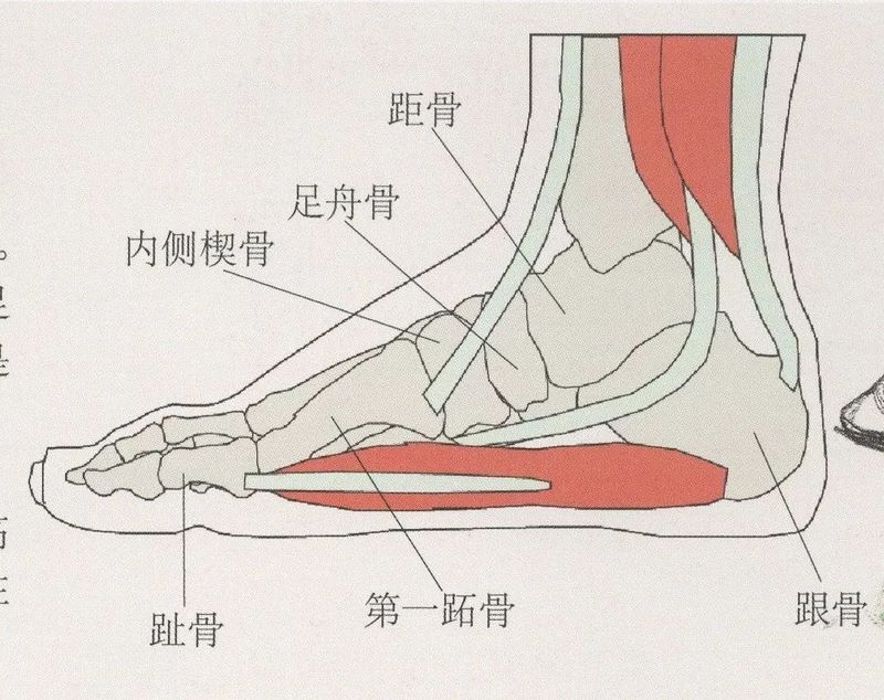 速写干货0029.jpg