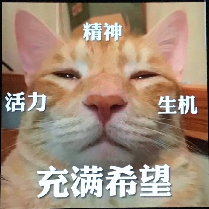 1569308623530.jpeg 1569308623530.jpeg