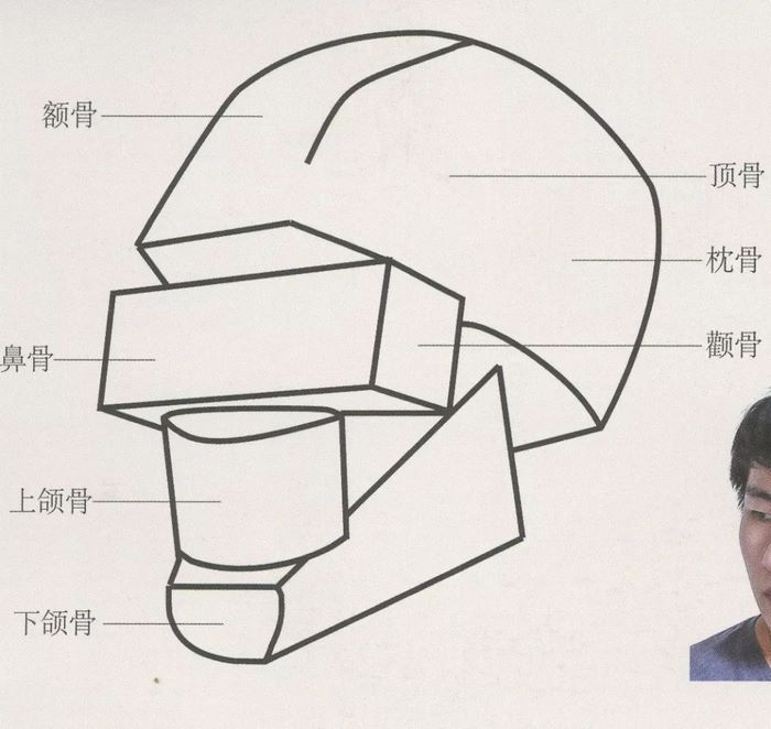 速写面部刻画0007.jpg