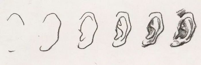 速写面部刻画0050.jpg