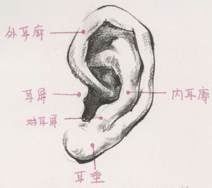 速写面部刻画0049.jpg