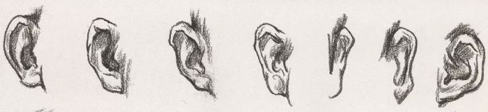 速写面部刻画0054.jpg