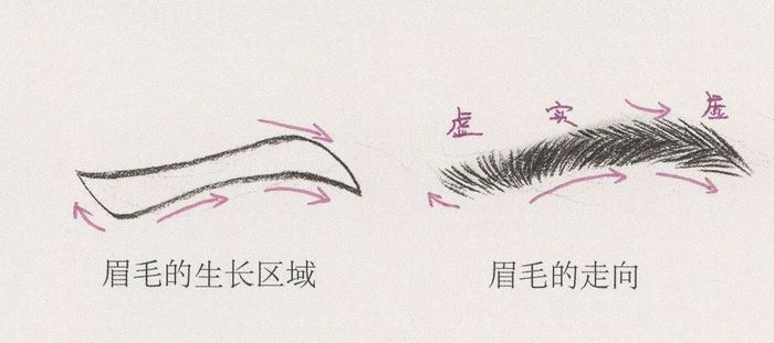速写面部刻画0059.jpg