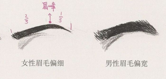 速写面部刻画0061.jpg
