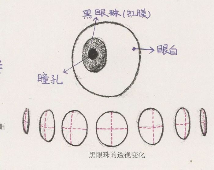 速写面部刻画0064.jpg