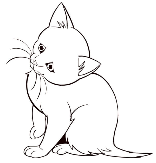 学画小猫 (1).jpg 学画小猫 (1).jpg