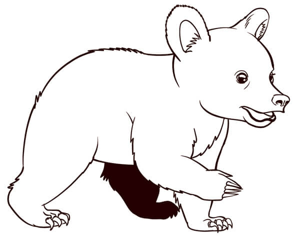 学画小熊 (1).jpg 学画小熊 (1).jpg