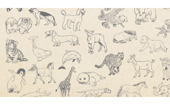 动物简笔画 (2).jpg 动物简笔画 (2).jpg