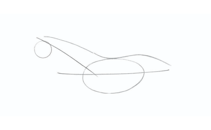 动物简笔画 (10).jpg 动物简笔画 (10).jpg