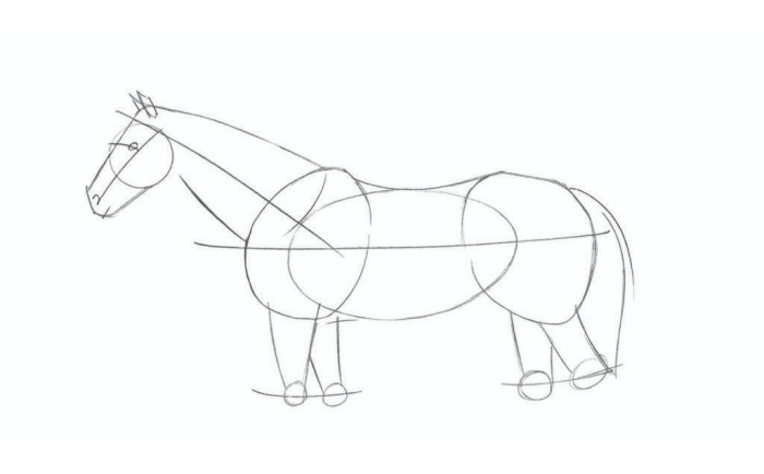 动物简笔画 (12).jpg 动物简笔画 (12).jpg