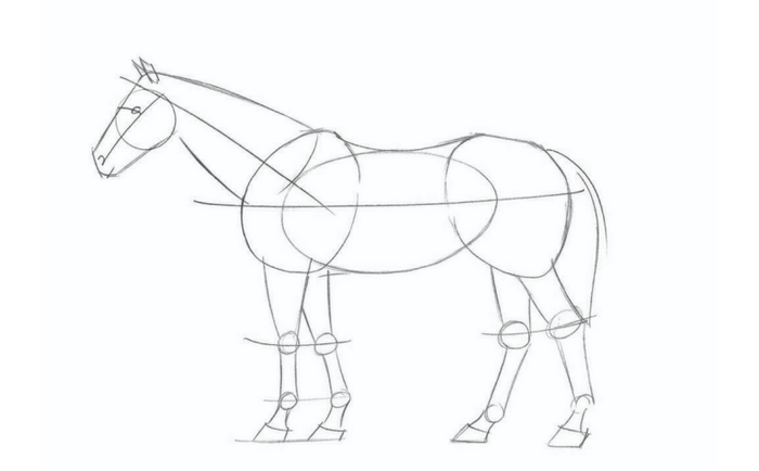 动物简笔画 (13).jpg 动物简笔画 (13).jpg