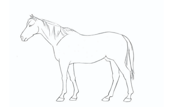 动物简笔画 (15).jpg 动物简笔画 (15).jpg