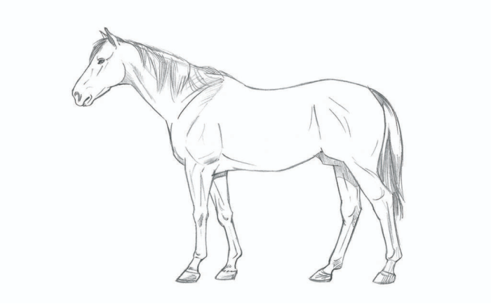 动物简笔画 (16).jpg 动物简笔画 (16).jpg