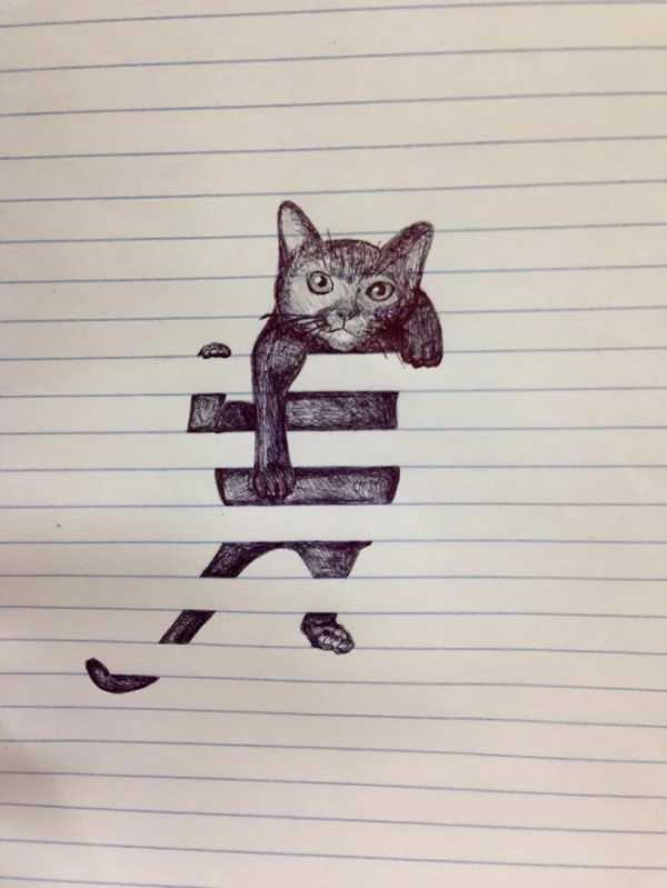 无聊的猫.jpg