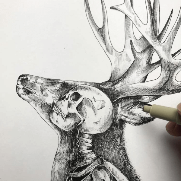 pen-and-ink-drawings-alfred-basha-3.jpg