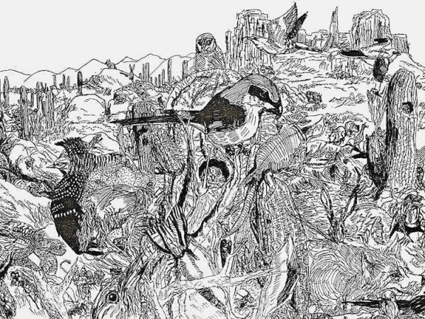 天才少年凭记忆绘画4.jpg