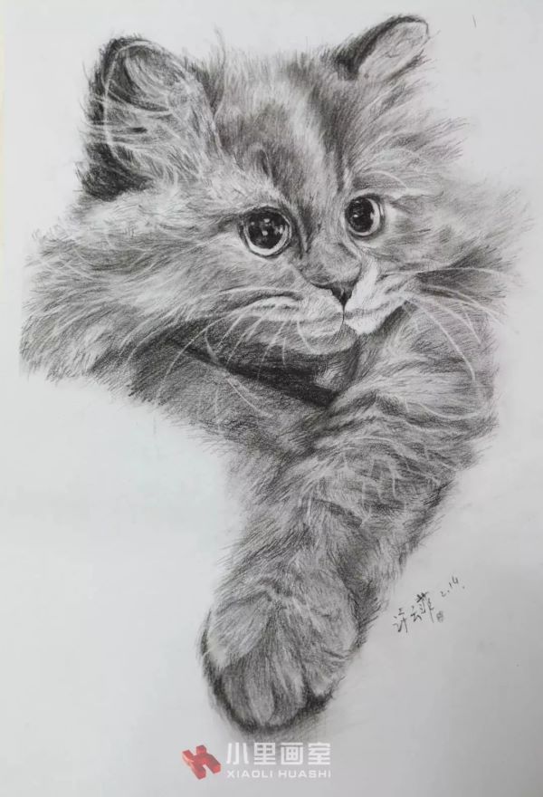 小里画室学生作品_0101.jpeg