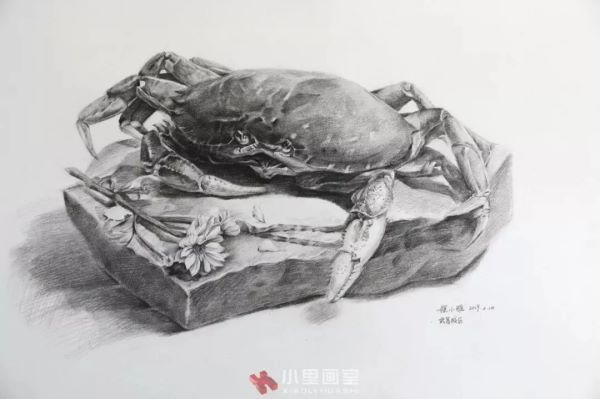 小里画室学生作品_0104.jpeg