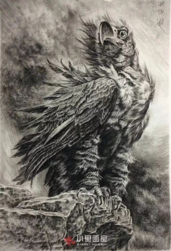 小里画室学生作品_0100.jpeg