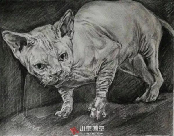 小里画室学生作品_0105.jpeg 小里画室学生作品_0105.jpeg